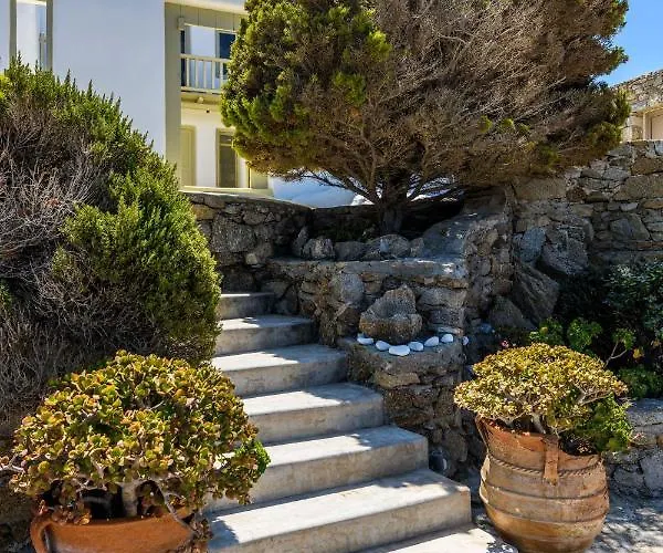 Isabella Family Close To The Ftelia (Mykonos)